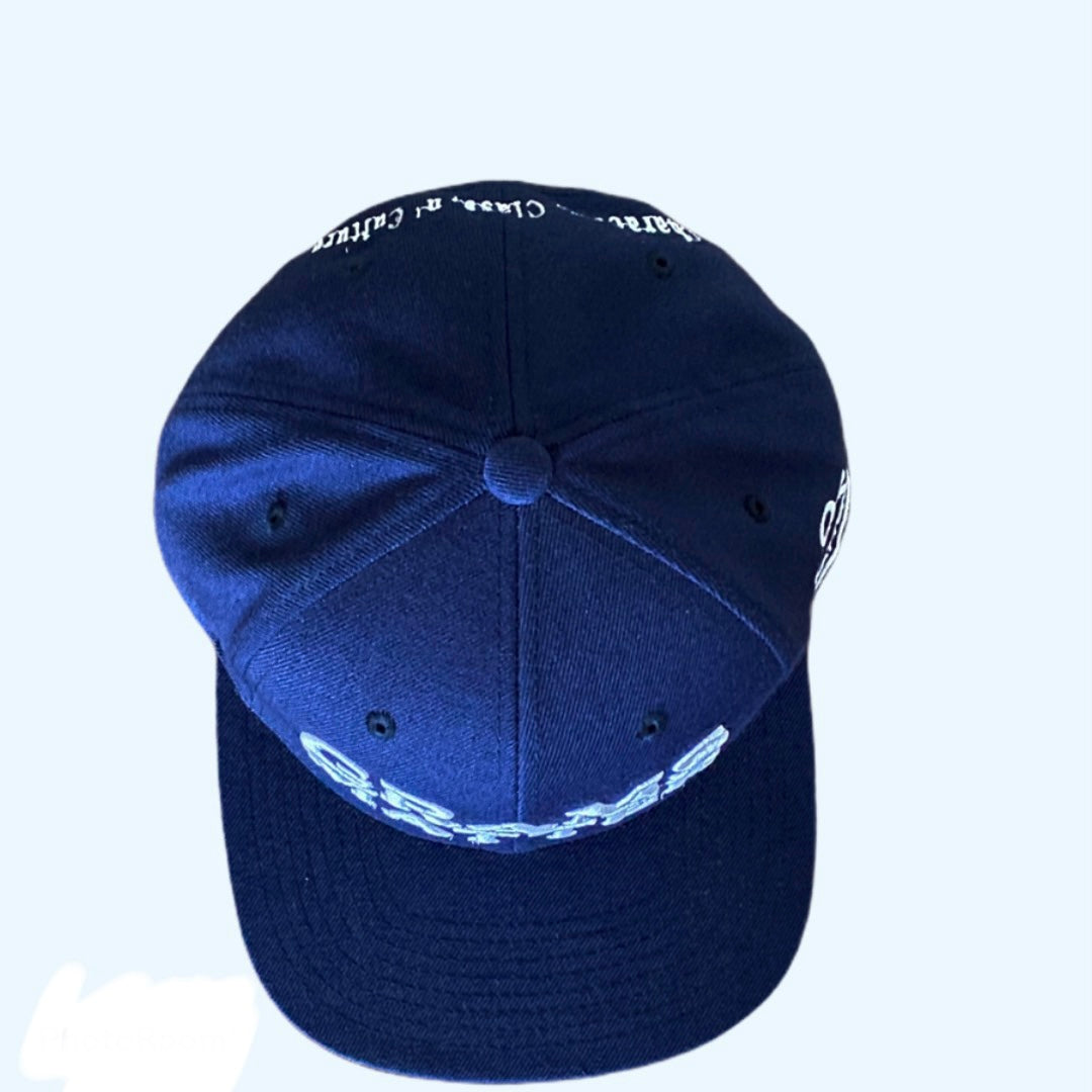 Blue/White Snapback Hats