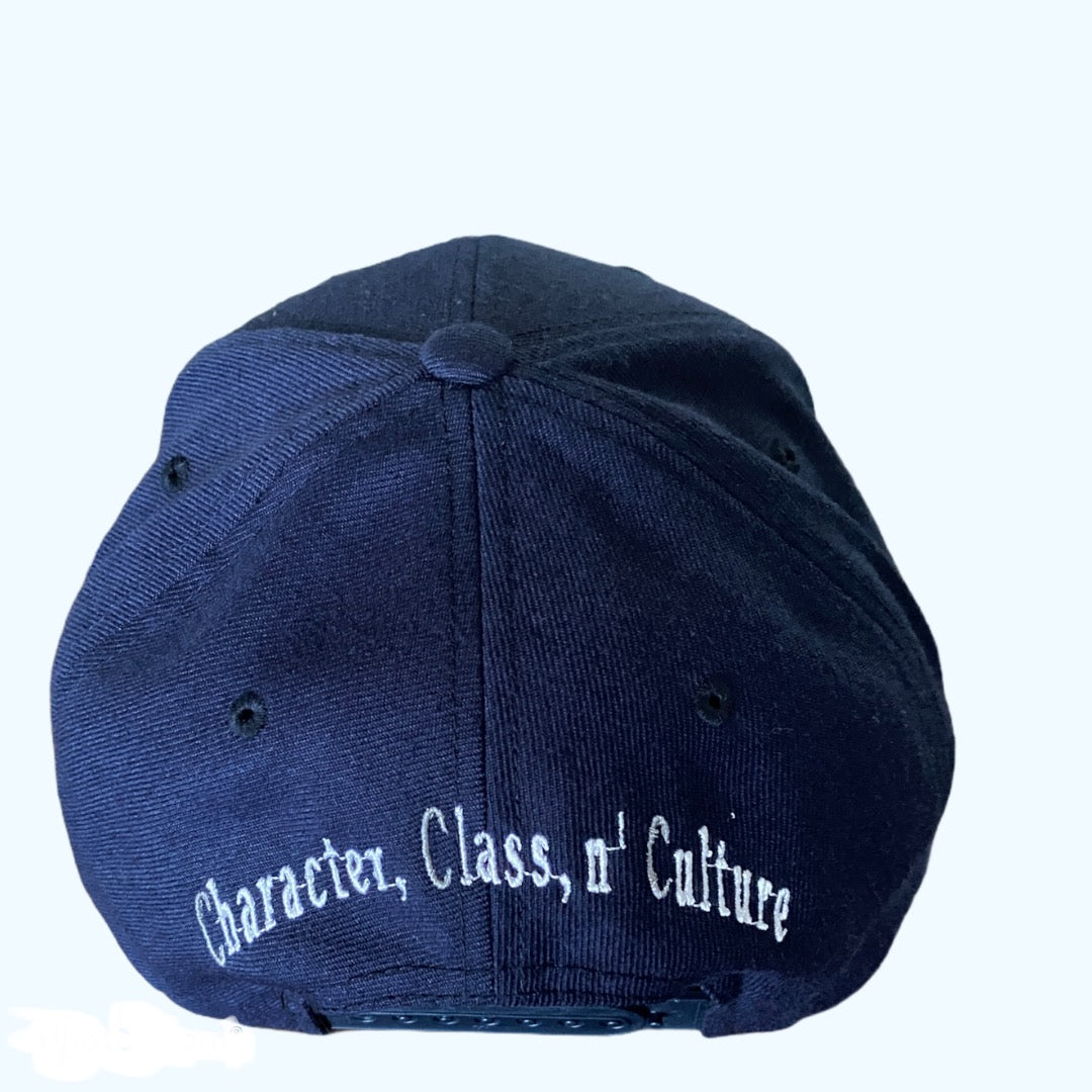 Blue/White Snapback Hats