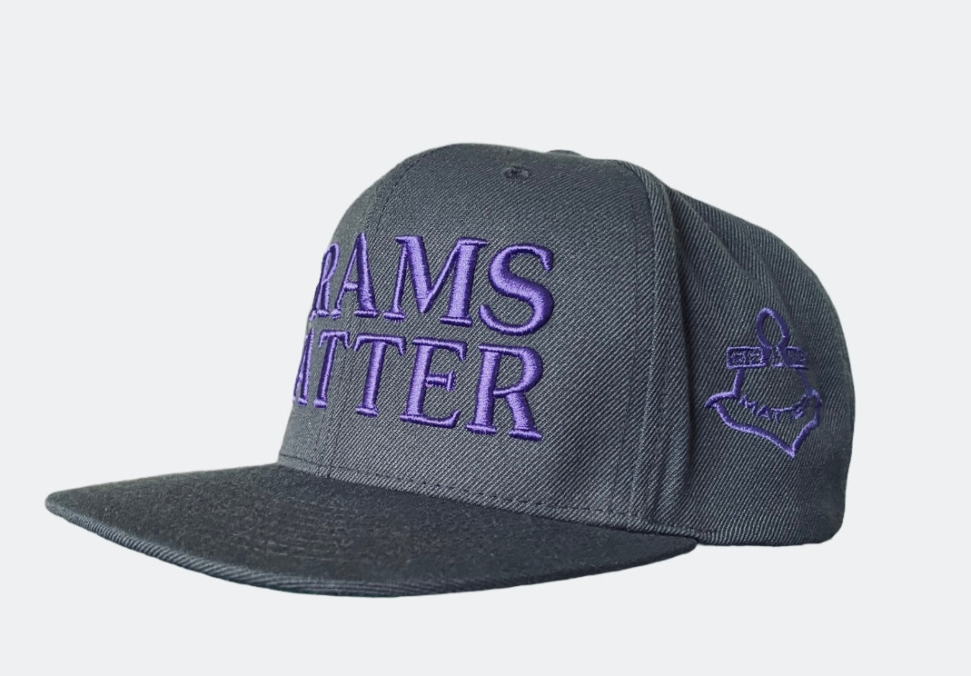 Grey/Purple SnapBack Hats